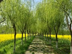 -江南天池
