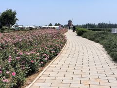 -君乐宝优致牧场