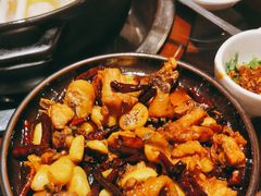 -志晖园圆子鸡·辣子鸡(阳光店)