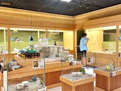 -帕帕拉兹宠物(亚洲旗舰店)