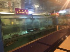 -金龙渔港(双楠店)