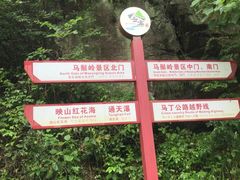 -麻城大别山桐枧冲瀑布群风景区