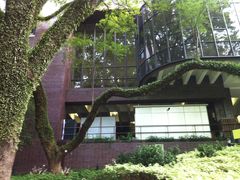 -香港大学