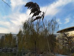 -北京国家会计学院