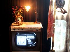 -西郊5号·Maggie 5