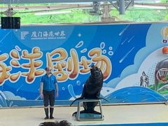 -厦门海底世界