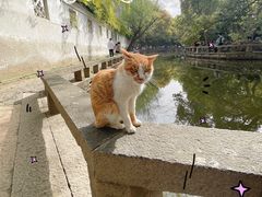 -西园戒幢律寺