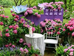 -上海滨江森林公园
