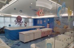 -维倪月子会所(独栋庭院·南海店)