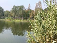 -东郊湿地公园