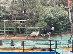 -南昌动物园
