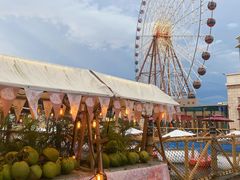 -三亚海昌梦幻海洋不夜城