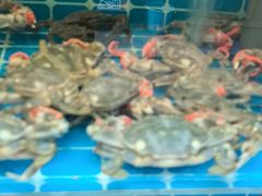 -锅老头铁锅炖•大锅蒸汽海鲜(韩乐坊店)