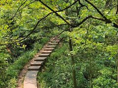 -青城山