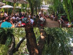 -Fern Forest Cafe