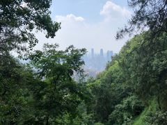 -南山植物园