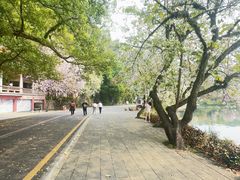 -星湖旅游景区七星岩