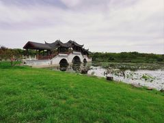 -上海海湾国家森林公园