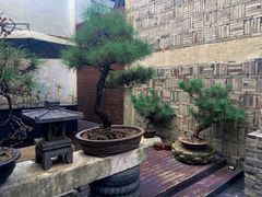 -觀芷隐轩