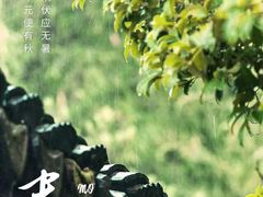 -贡宴盐帮菜自贡驻京联络处餐厅
