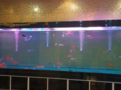 -张刚餐饮(春晓馨苑店)