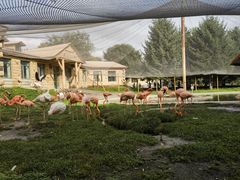 -哈尔滨北方森林动物园