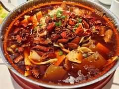 -新侨小馆(东直门北小街店)