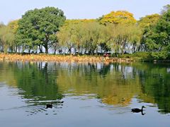 -苏堤停车场
