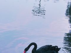 -西安曲江寒窑遗址公园
