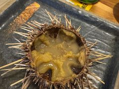 -海胆小馆(东北水饺·春柳店)