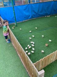 -萌宠亲子动物乐园(槐房万达店)