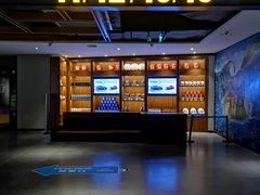 -万达影城IMAX(海口日月广场店)