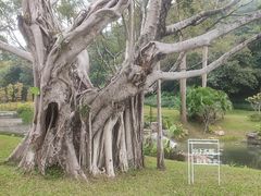-云溪植物园