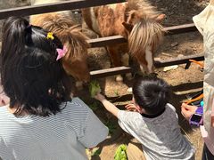 -安徽大青山野生动物世界