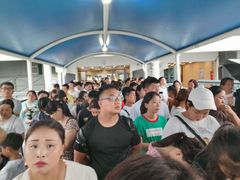 -黄浦江游览快线(金陵东路码头)