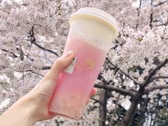 多肉粉荔-喜茶(上海正大广场店)