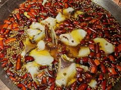 -雲蜀龙阁·金牌水煮鱼(方庄店)