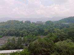 -金鸡山公园