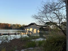 -长广溪湿地公园