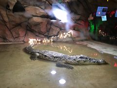 -西安秦岭野生动物园