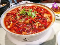 -朝郡酒家·粤菜(燕大星苑店)