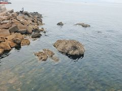 -养马岛旅游度假区
