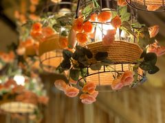 -维斯特·夜烤牛肋条任吃