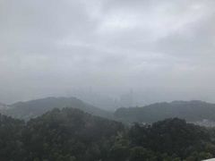 -大金鹰园