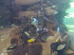 -OPEN開全日自助餐厅·西餐·海鲜(佛山希尔顿酒店)