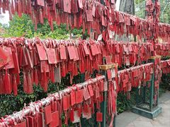 -国色天乡三期陆地乐园