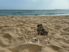 -三亚海棠湾万丽度假酒店