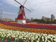 -菊园百果园
