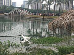 -南宁南湖公园