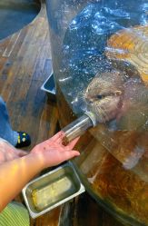 -Zoolung Zoolung动物主题公园(海信广场店)